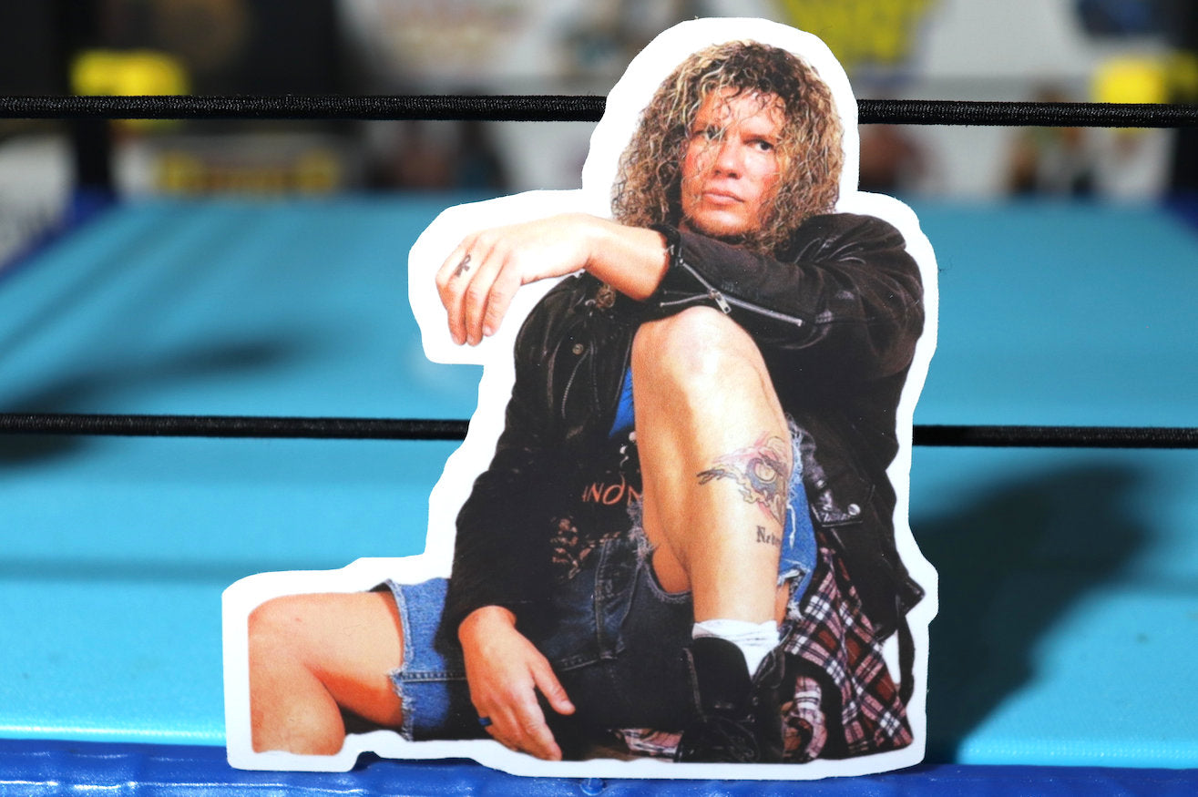 Raven Sticker [Raven - Ric Flair -  Hulk Hogan - Randy Savage - Ultimate Warrior - njpw - RVD]