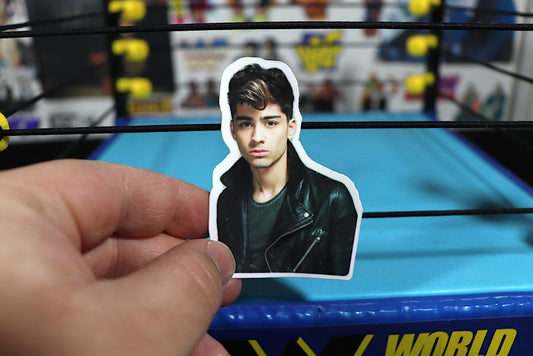 Zayn Sticker #4 (One Direction, 1D)