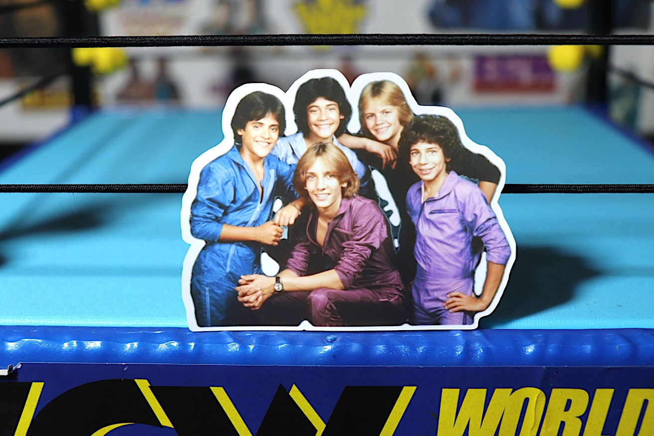 Menudo Sticker 2 (Boy Bands - Pop Culture - Puerto Rico - Music - Legends - Icons)