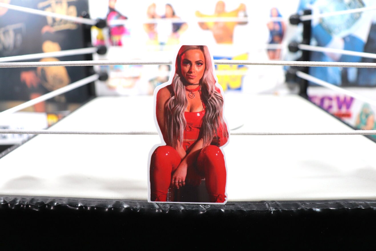 Liv Morgan Sticker 3 [Hulk Hogan - Randy Savage - Ric Flair - Stickers - Valentine's Day - Valentine - Love - Birthday - Gift - Decor]