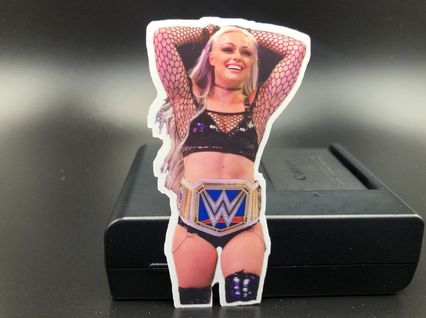 L1v M0rg@n Sticker 16 (Wrestling . Scrapbook . journal . vinyl . Stickers)