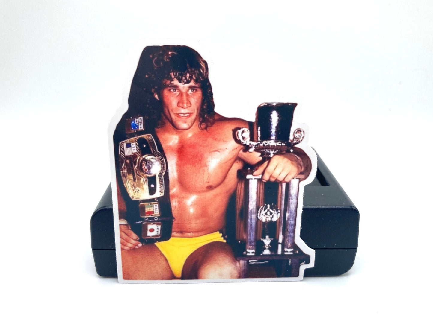 Sticker : Kerry Von Erich