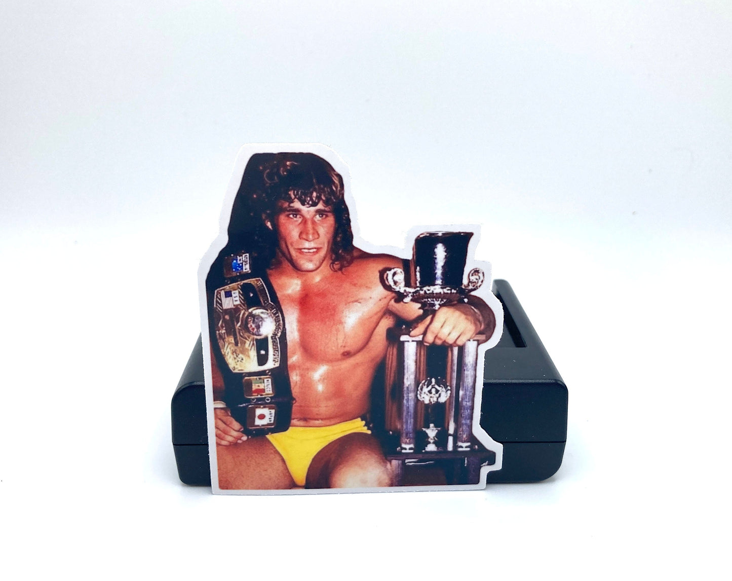 Sticker : Kerry Von Erich