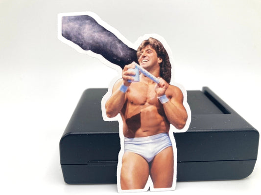 Sticker :  Rick Martel 2