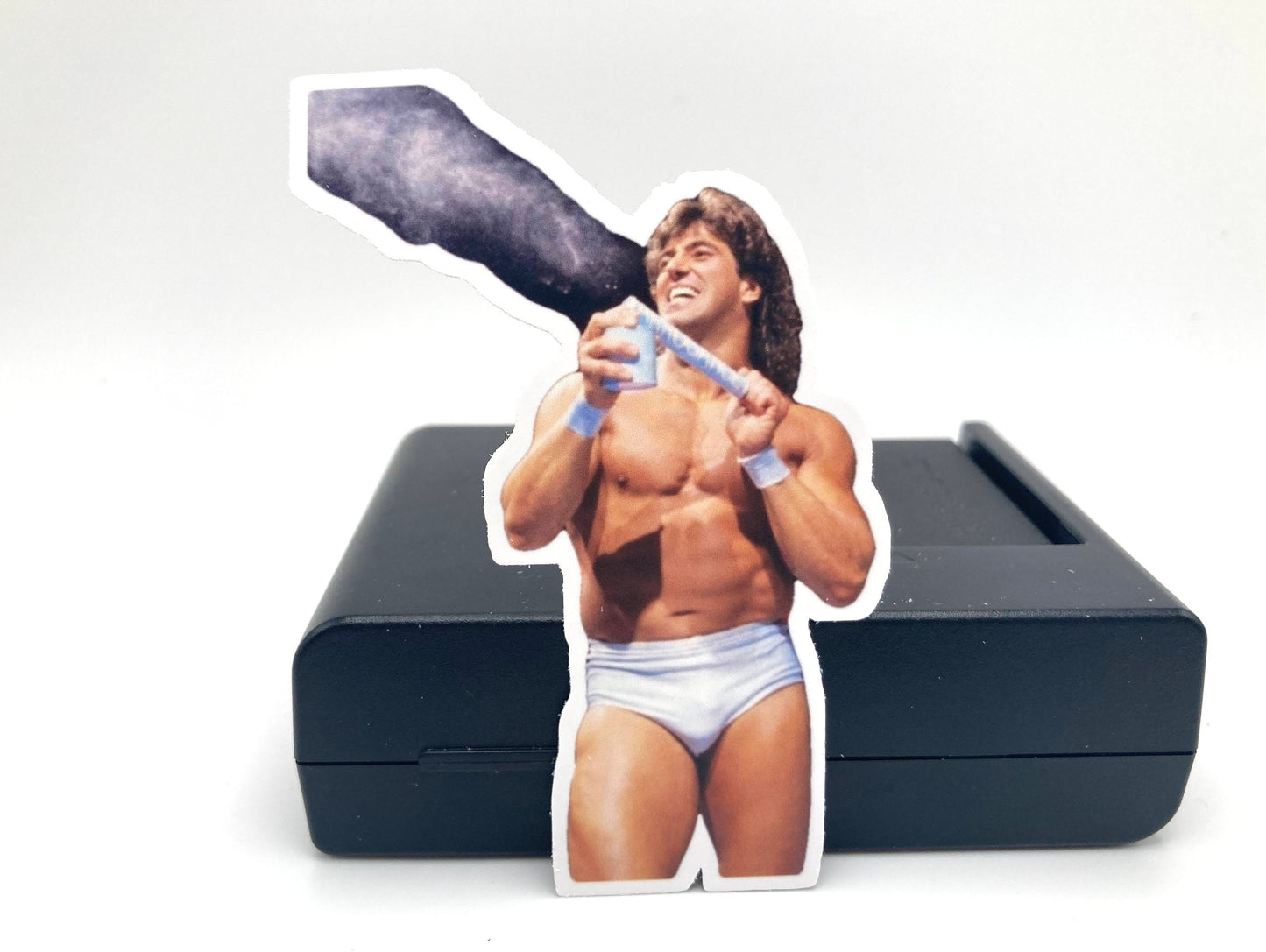 Sticker :  Rick Martel 2