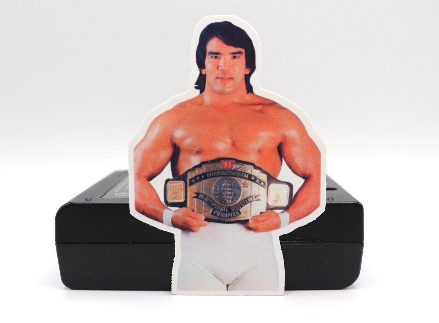 Ricky Steamboat Sticker (Wrestling . Stickers . Scrapbook . Journal . Birthday . Gift . Pop Culture . Legend . Halloween . Christmas)