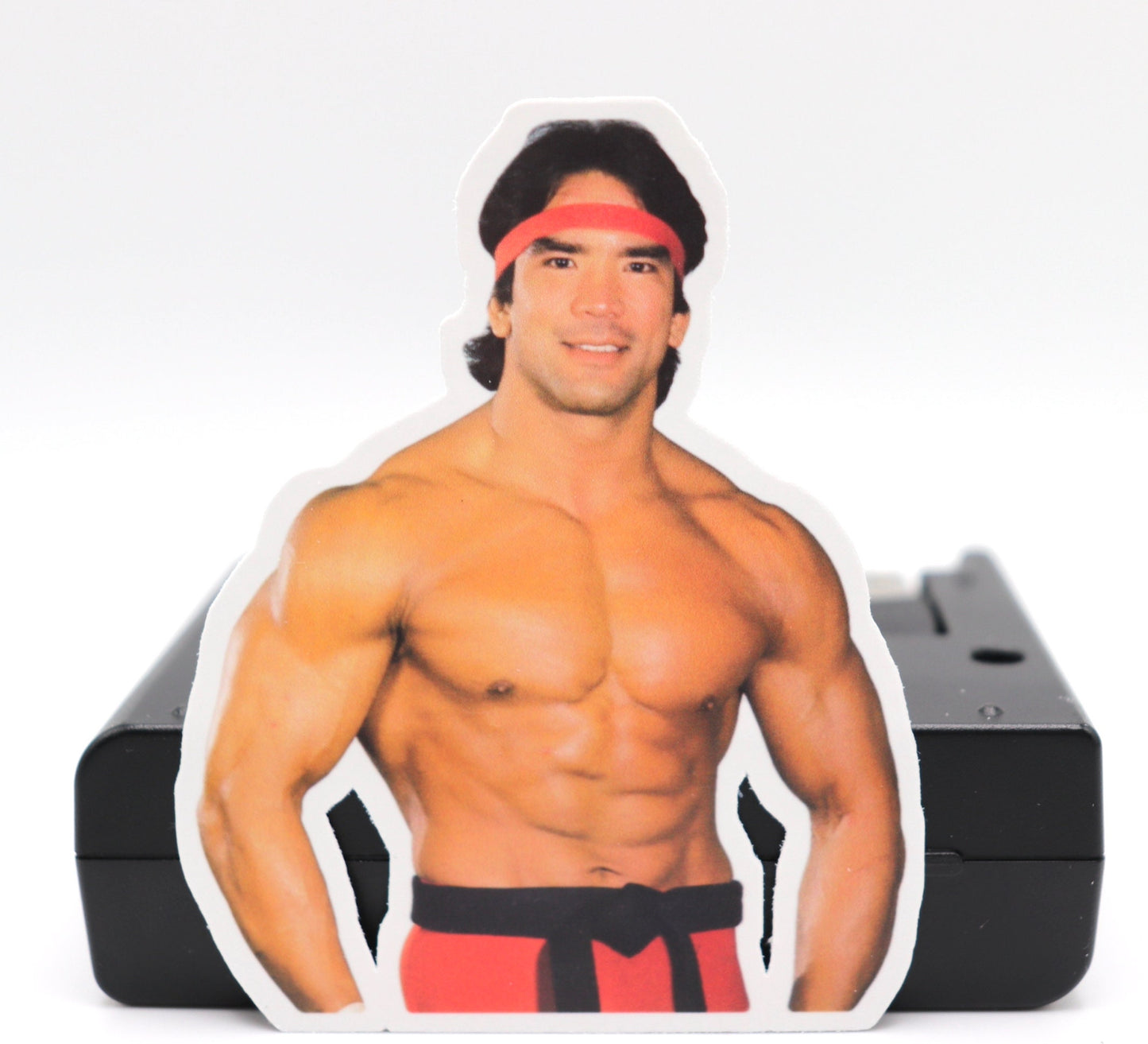 Ricky Steamboat Sticker 3 (Wrestling . Stickers . Scrapbook . Journal . Birthday . Gift . Pop Culture . Legend . Halloween . Christmas)