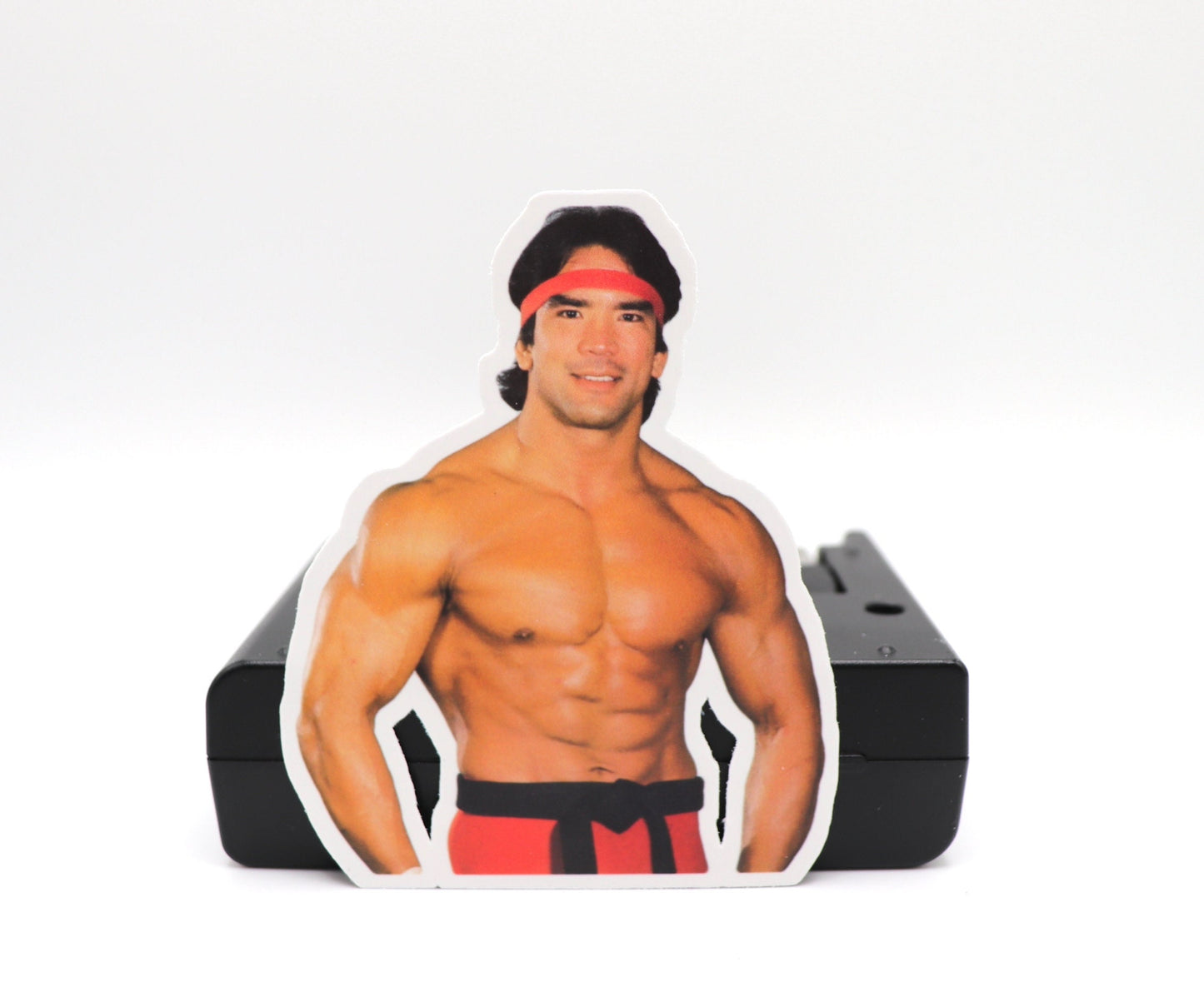 Ricky Steamboat Sticker 3 (Wrestling . Stickers . Scrapbook . Journal . Birthday . Gift . Pop Culture . Legend . Halloween . Christmas)