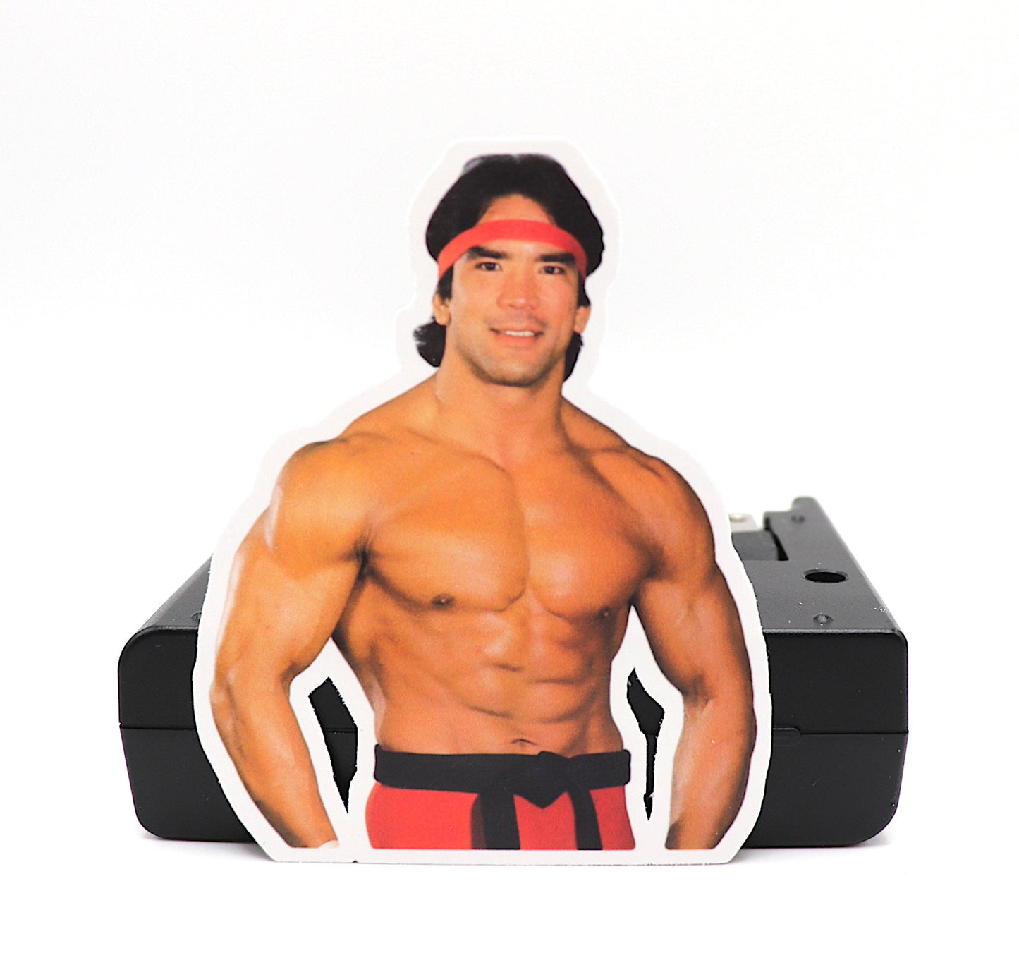 Ricky Steamboat Sticker 3 (Wrestling . Stickers . Scrapbook . Journal . Birthday . Gift . Pop Culture . Legend . Halloween . Christmas)